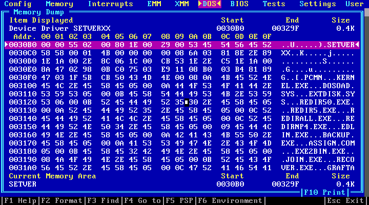InfoSpotter 2.50 - Memory dump