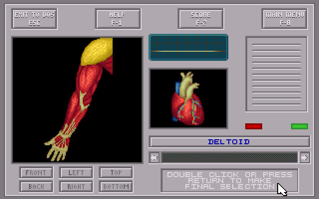 Body Illustrated - Game