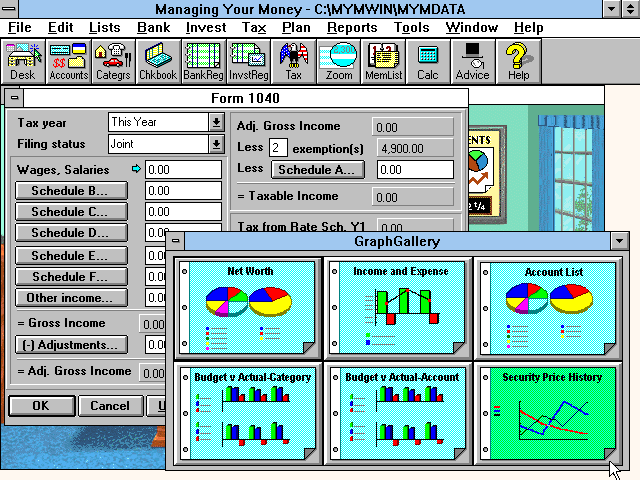 Managing Your Money 1.0 for Windows - Graphs